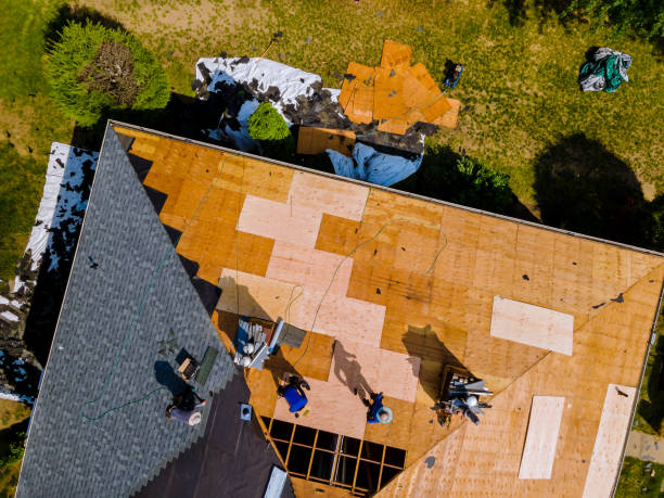 Best Roof Gutter Cleaning  in Lone Tree, IA