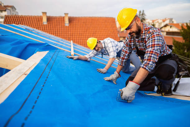 Best Roof Gutter Cleaning  in Lone Tree, IA