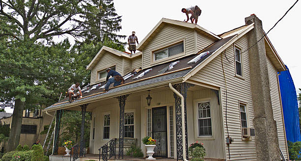 Best Emergency Roof Repair  in Lone Tree, IA