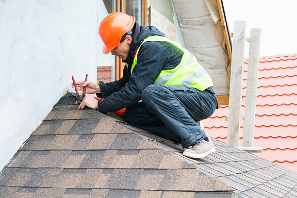 Best Roof Leak Repair  in Lone Tree, IA